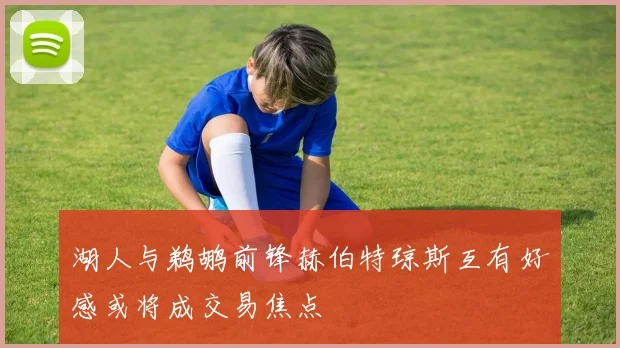 湖人与鹈鹕前锋赫伯特琼斯互有好感或将成交易焦点