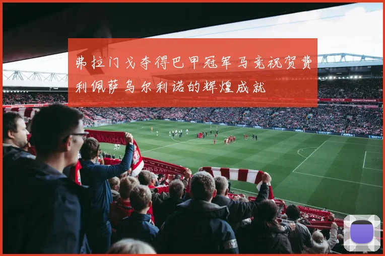 弗拉门戈夺得巴甲冠军马竞祝贺费利佩萨乌尔利诺的辉煌成就